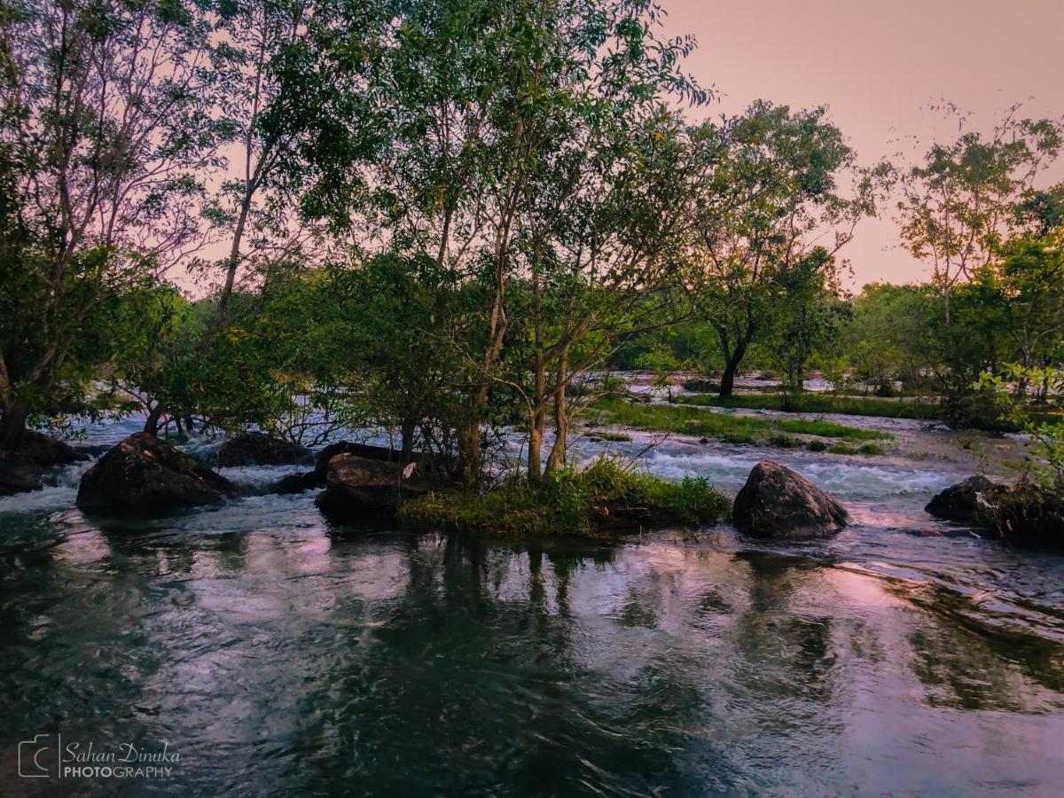 Hantara Udawalawa Udawalawe Dış mekan fotoğraf